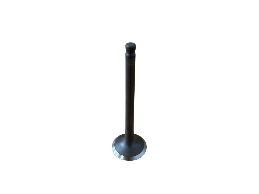 Sací ventil – Hahn & Sohn HDE20SS3-DW